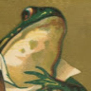 Meet your Posher, Alexander